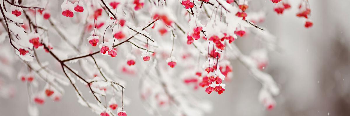 GreysisMichell's profile banner image