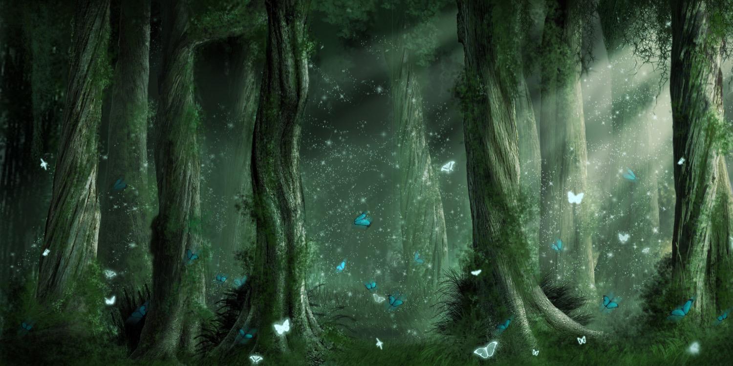 AusToothFairy's profile banner image