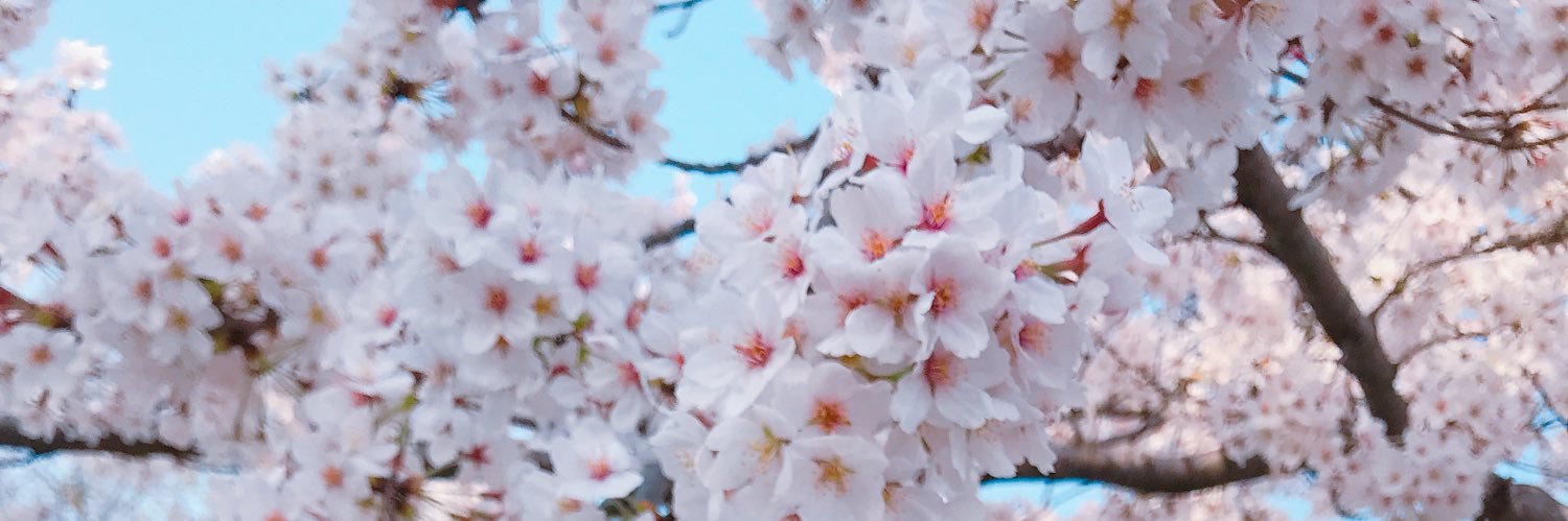___saayaa's profile banner image
