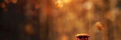 StrellitHa Pink banner