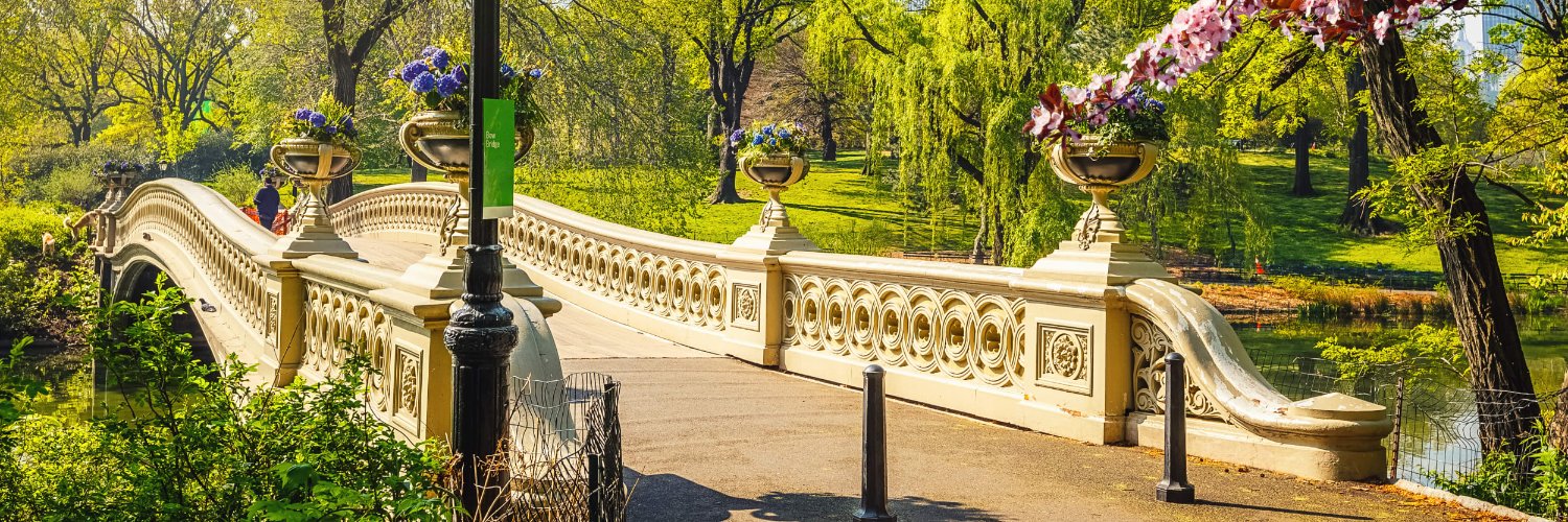 derekreesenyc's profile banner image