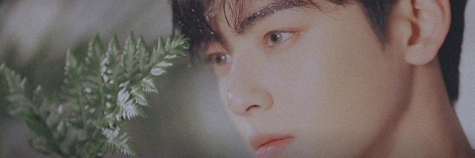 _shrwnvlr's profile banner image
