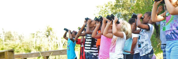 AliceFerguson Profile Banner