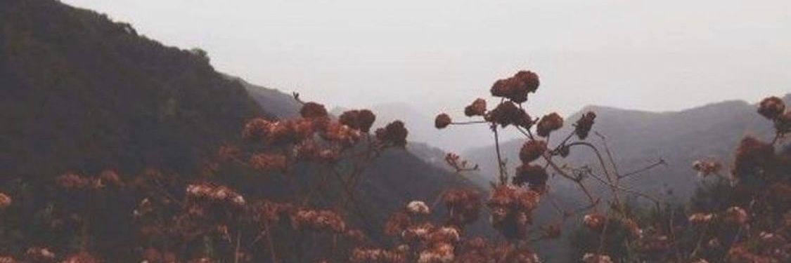 k20s30a's profile banner image