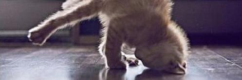 Laura Howard 📚 banner