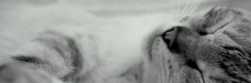simofe25's profile banner image