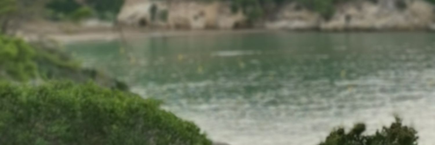 paceamore11's profile banner image