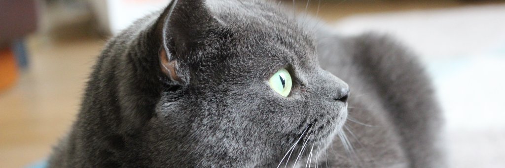 tomstubbs99's profile banner image