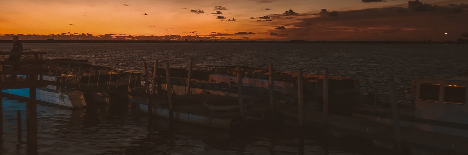 Rodriigopassos's profile banner image