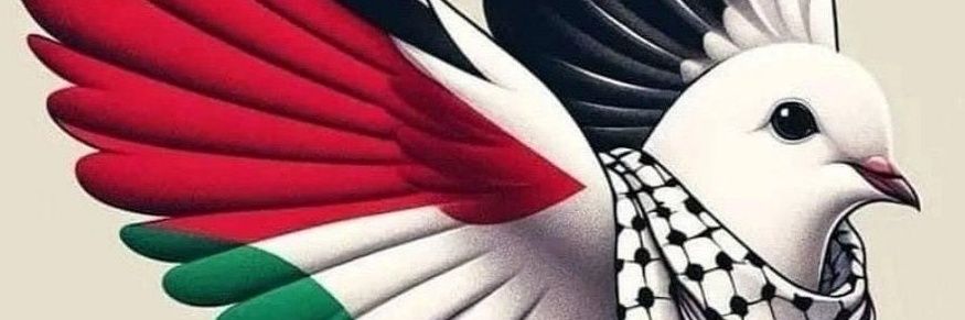 Elfida1807's profile banner image