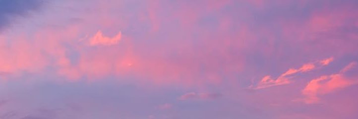 samantanienteh's profile banner image