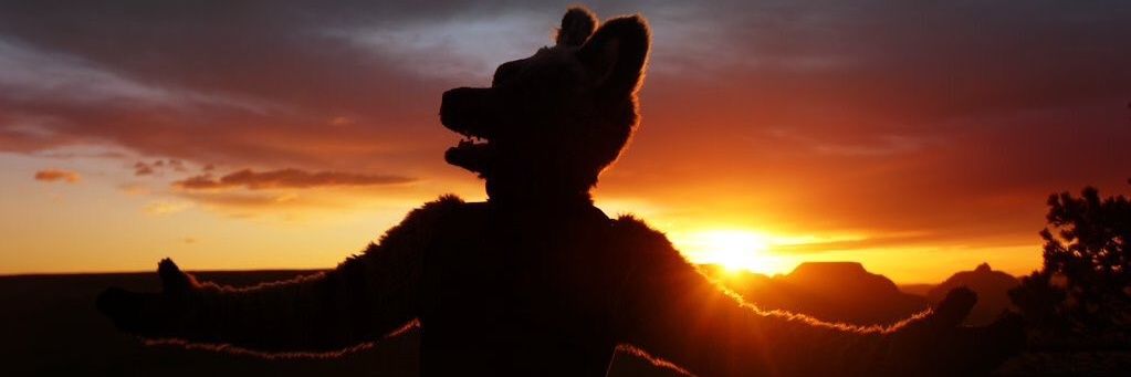 Rukus382's profile banner image