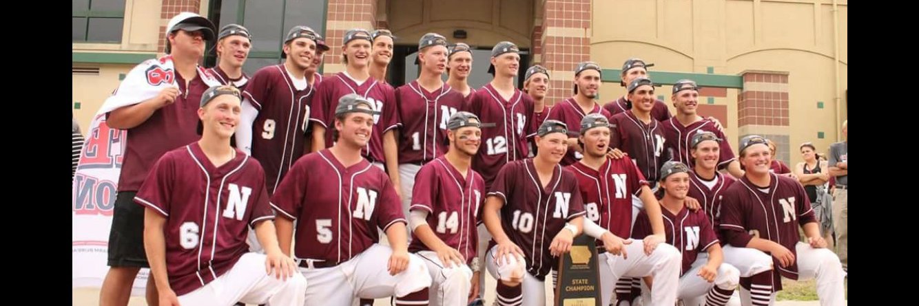 NEWMAN BASEBALL banner