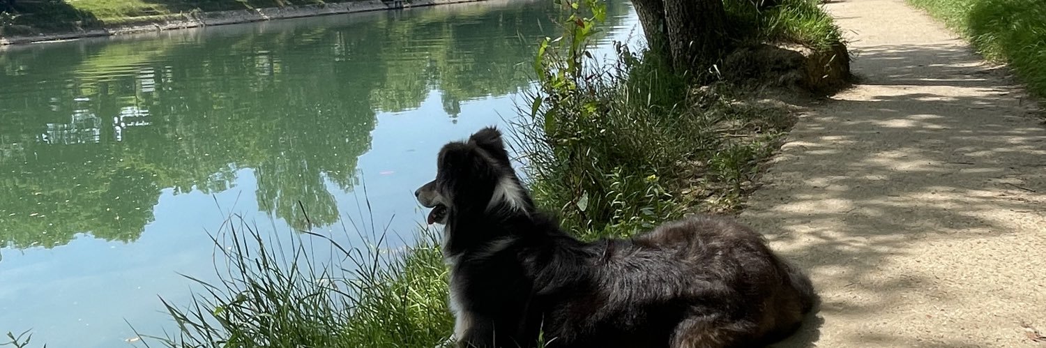 Quetinho 🐀 banner