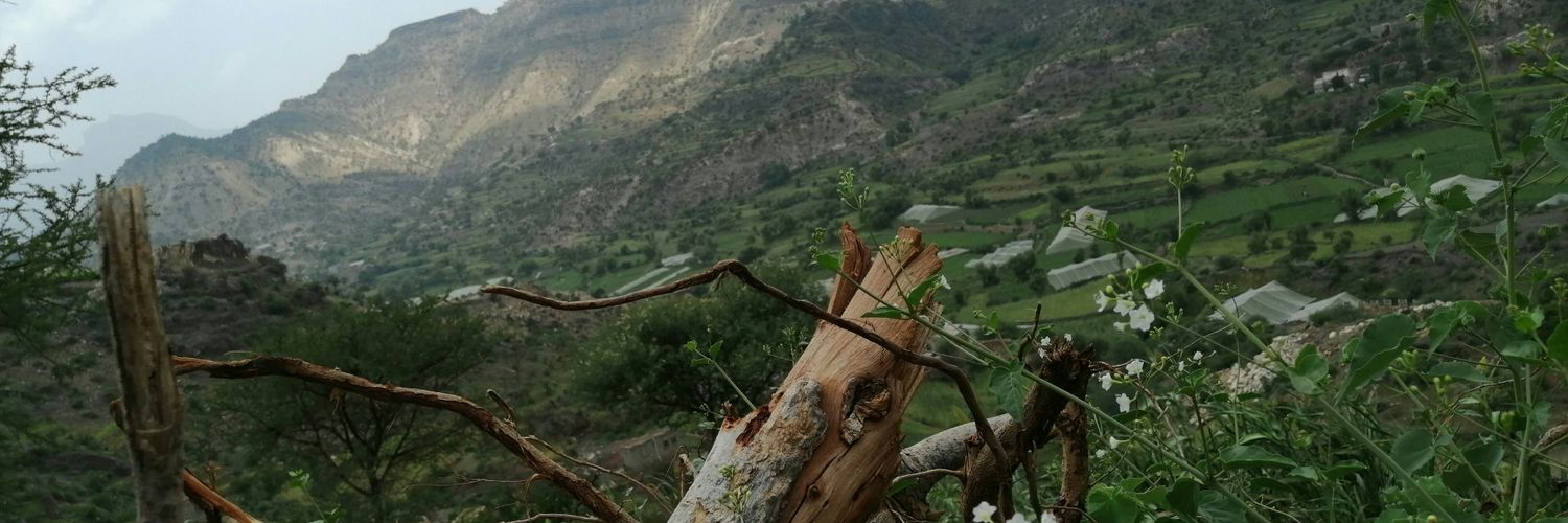 السميعي banner