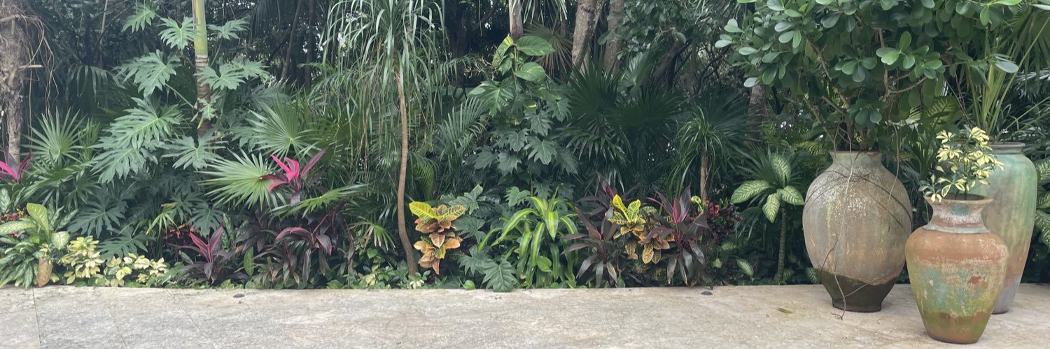 Catherine Sullivan banner