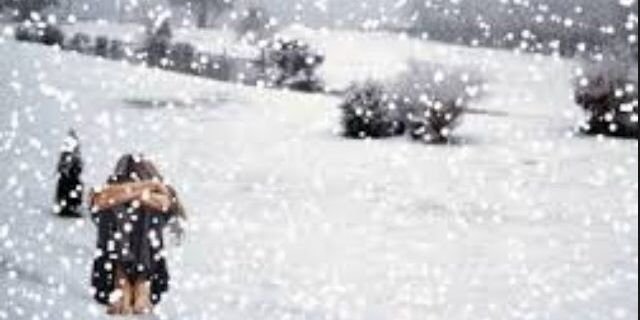 bea_salgado's profile banner image