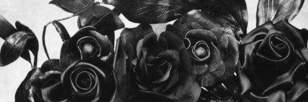 eneri_mt's profile banner image