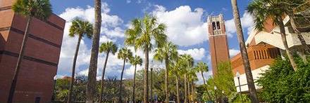 UFlorida_19's profile banner image