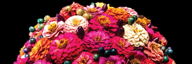 noriko0586's profile banner image