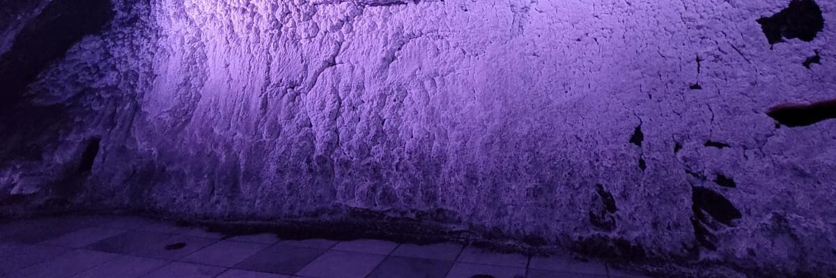 anthov25's profile banner image