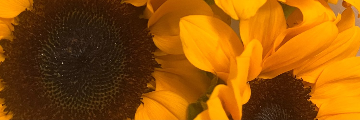 Alyssaaaaxo_'s profile banner image