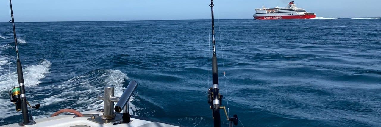 Blue_Rose🌹 banner