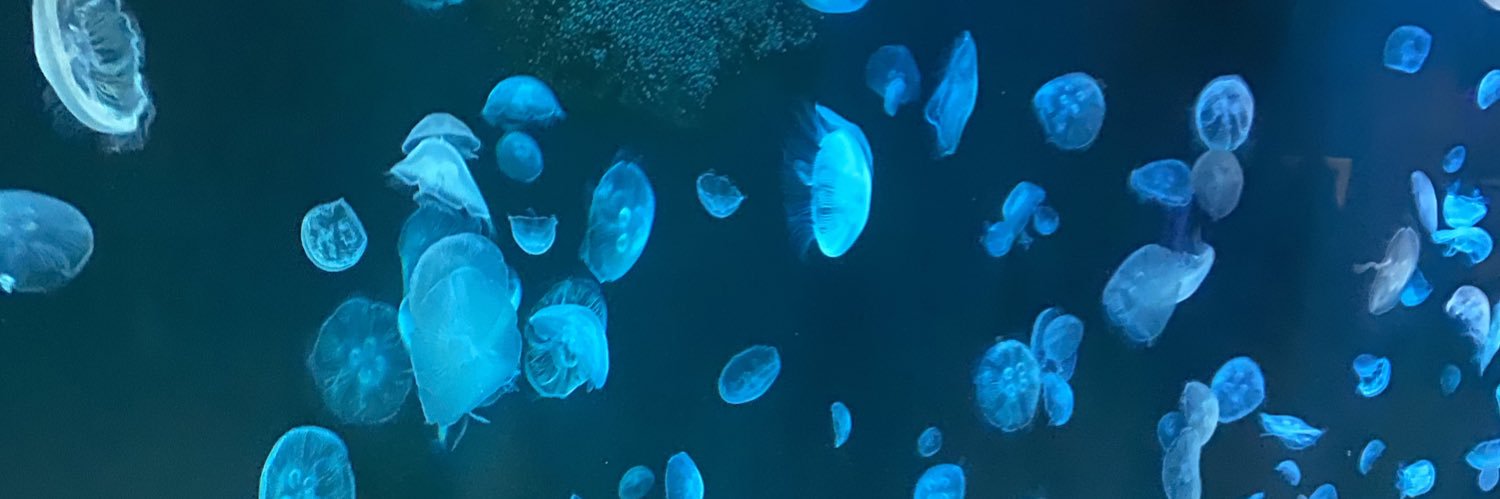 hailey984's profile banner image