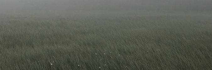 رندا banner