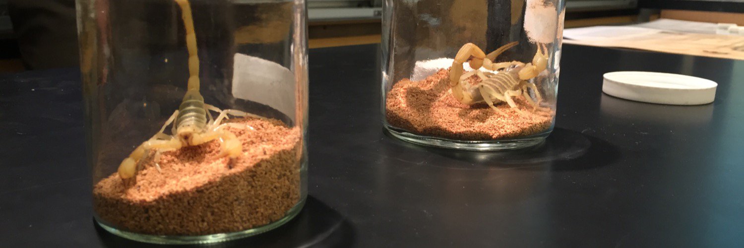 wcsubiology's profile banner image