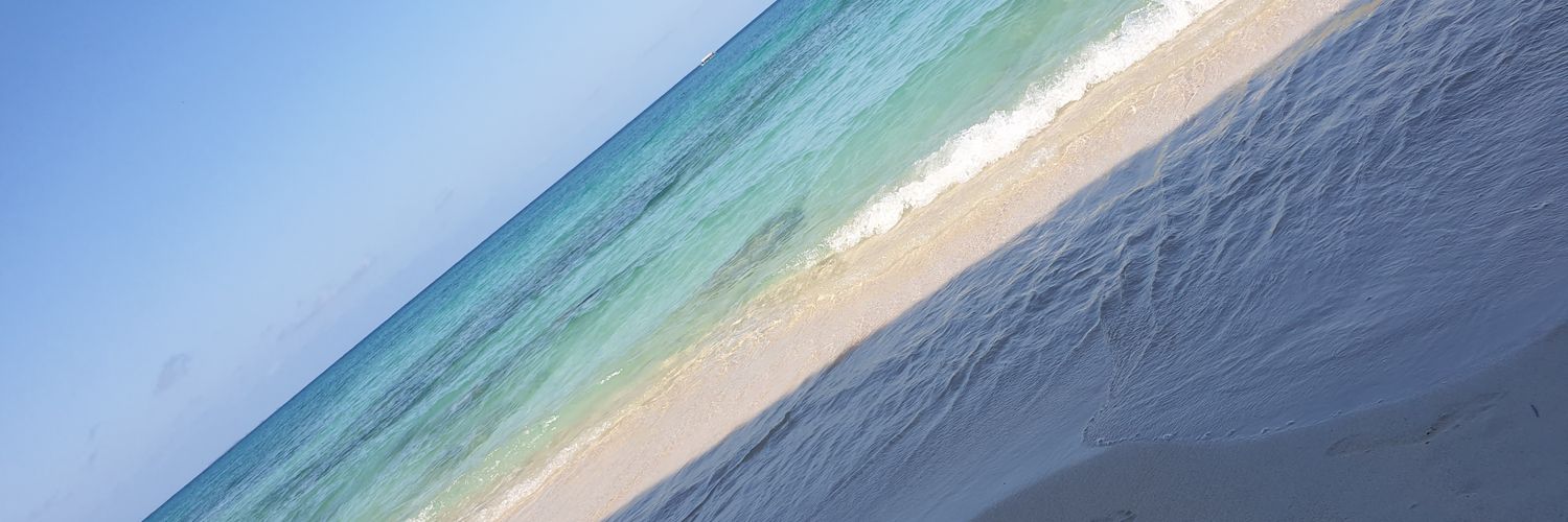 kaimito33's profile banner image