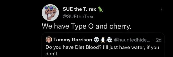 elizzosaurusrex Profile Banner