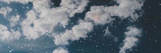 sunflower_fmj's profile banner image