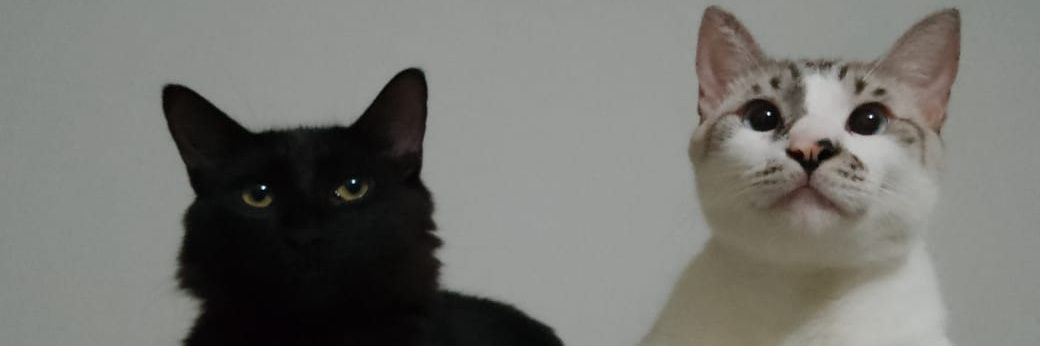 mnzsisaa's profile banner image