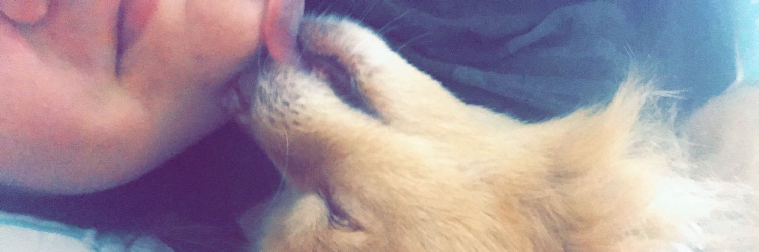 LindyFike's profile banner image