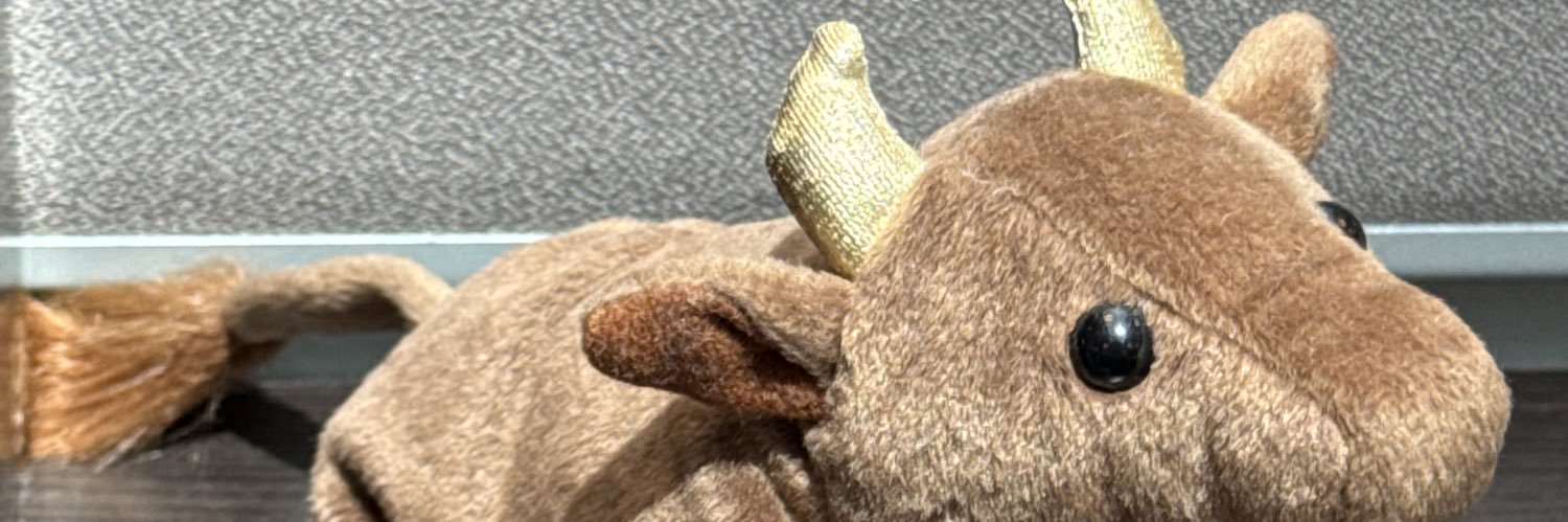 codergaucher's profile banner image