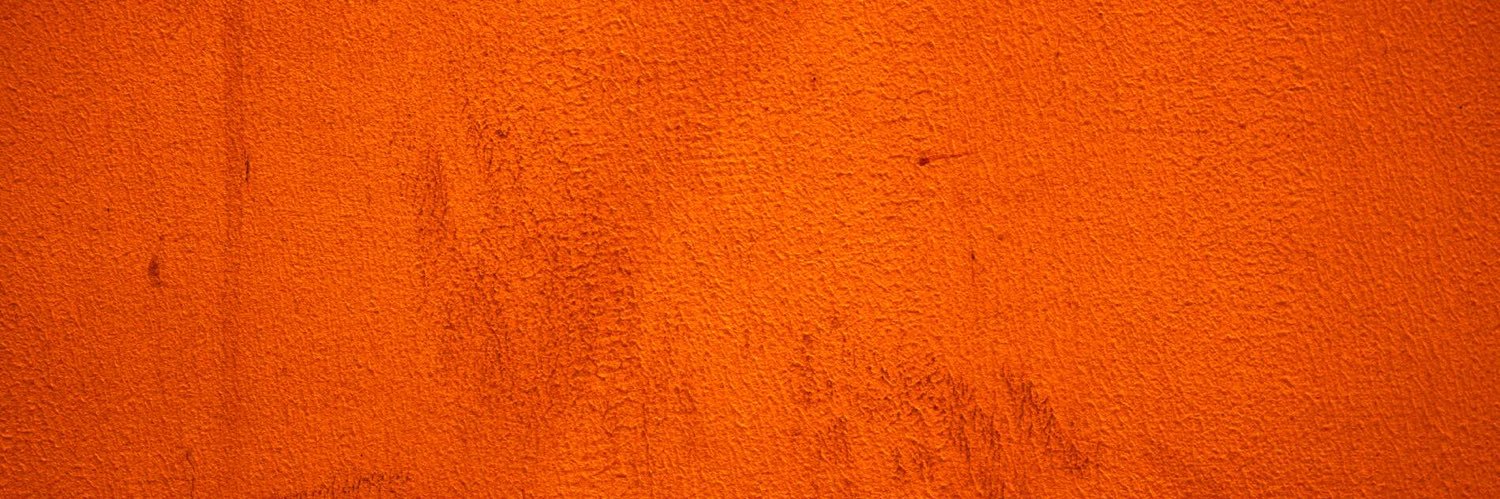 Xiomara Lemus banner