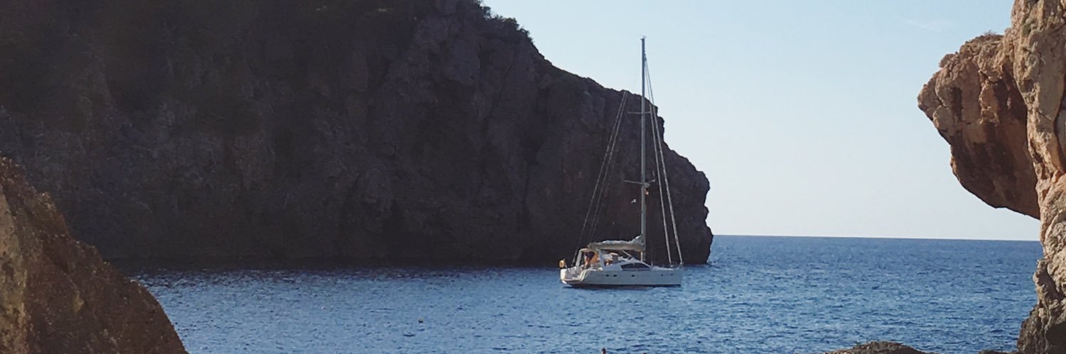 Mónica Dezcallar banner