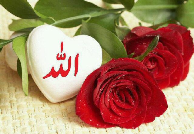 Naaz_B's profile banner image