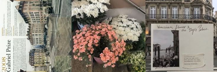 anne, acc promosi banner