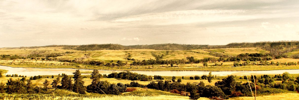 T__Montgomery's profile banner image