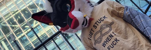 zazelwolf Profile Banner
