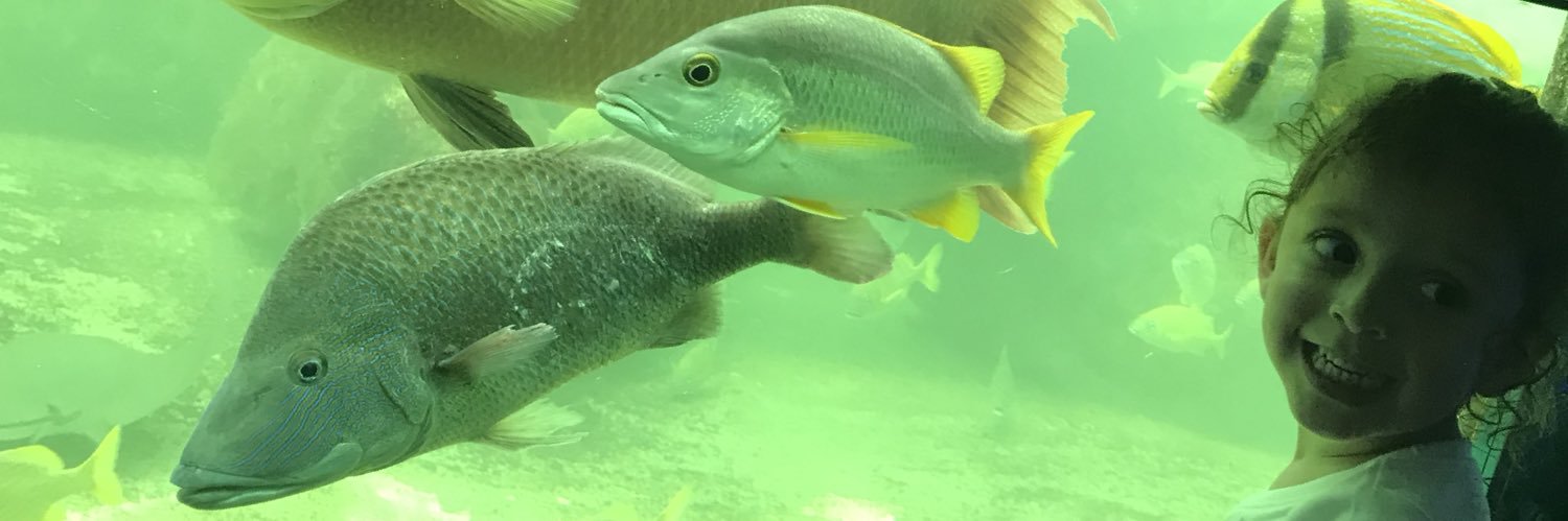 The Peoples Champ banner