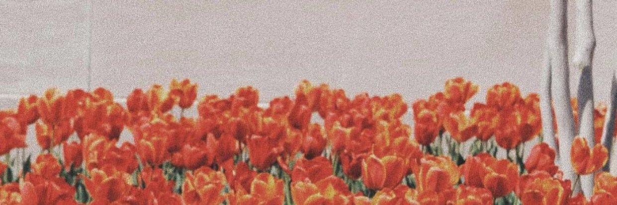 alxdotjpeg's profile banner image