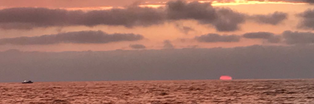 willisinsd's profile banner image