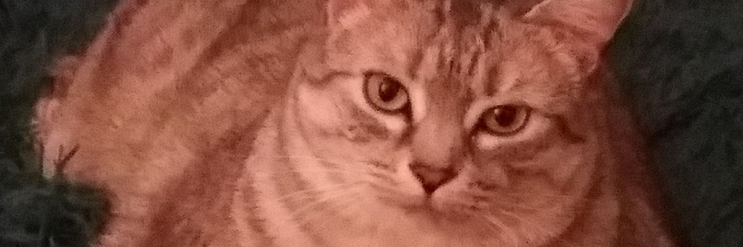loriannk88's profile banner image
