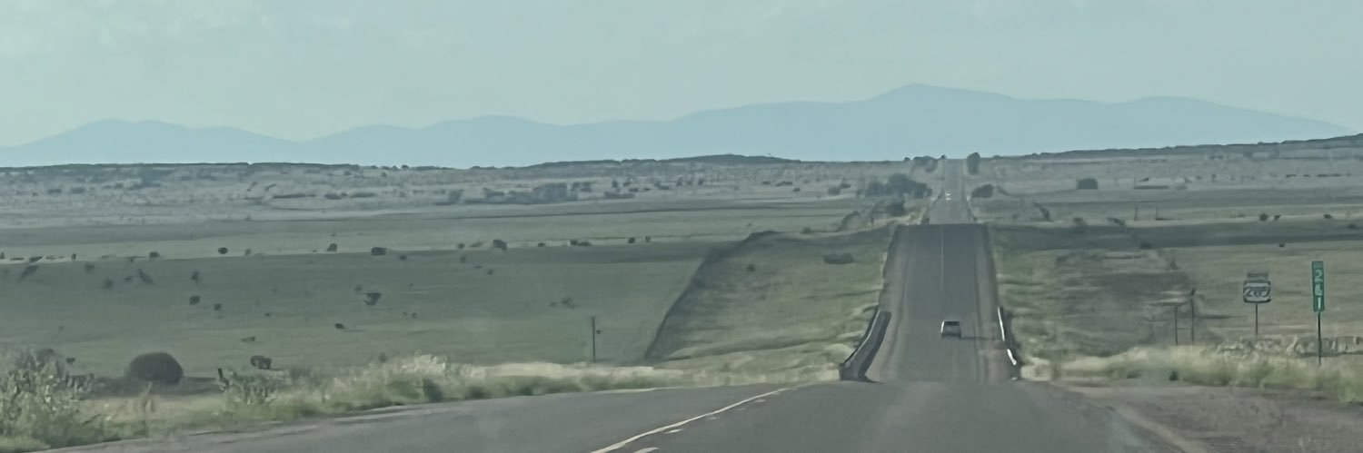 sabrinastott's profile banner image