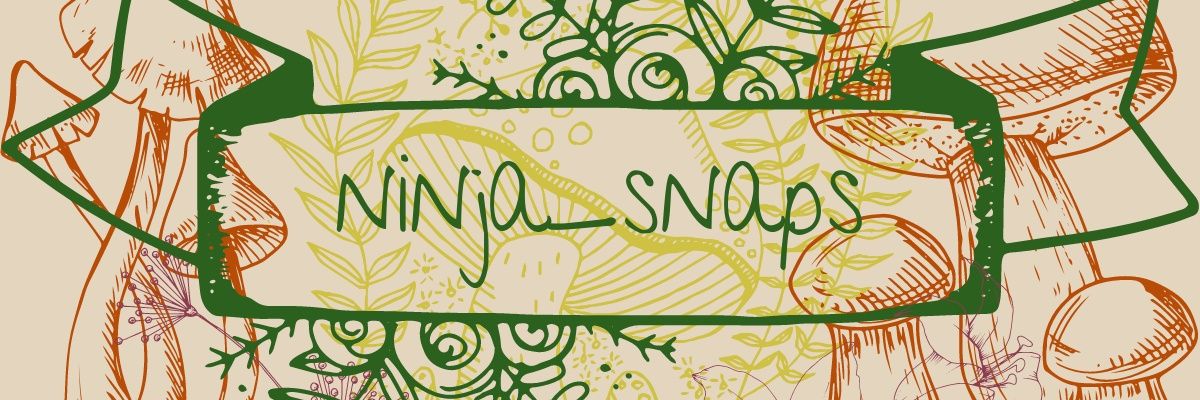 ninja_snaps's profile banner image