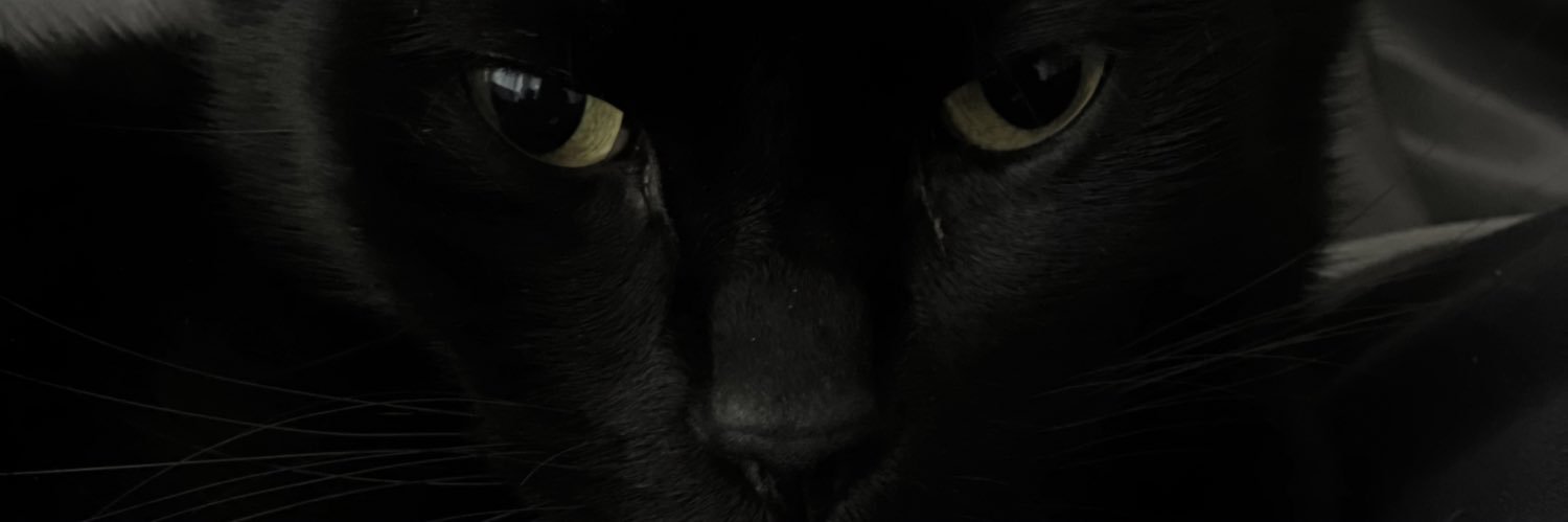 b4nguero's profile banner image
