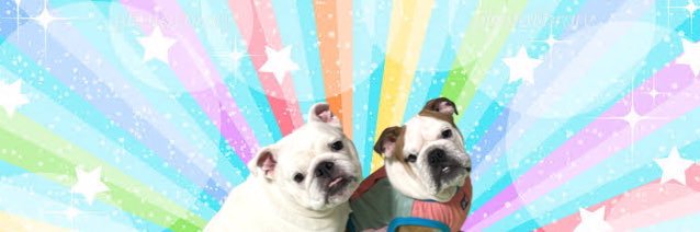 bubi0709's profile banner image